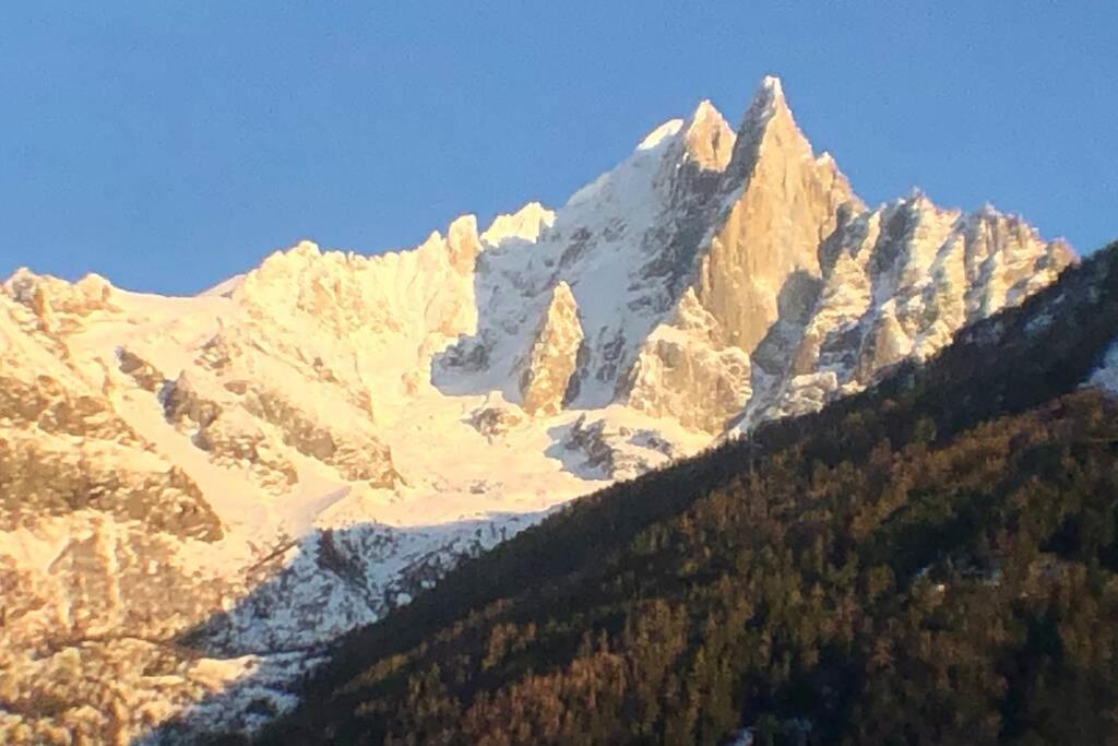 Chic Appart 6 Pers Dans Residence Luxueuse "La Cordee" Wellness Gym Piscine Ouvert Et Teletravail Chamonix Exterior photo